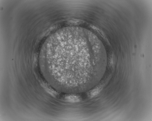 X0000080730759200701051059