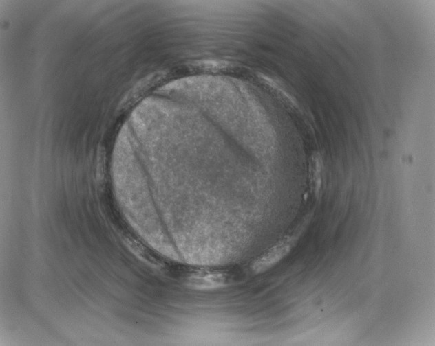 X0000080730760200701051059