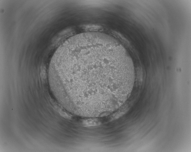 X0000080730761200701051059