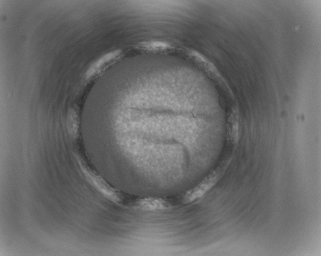 X0000080730762200701051059