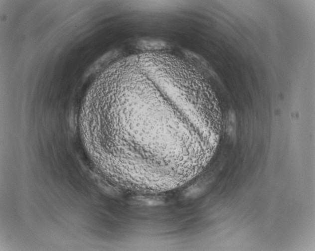 X0000080730763200701051059