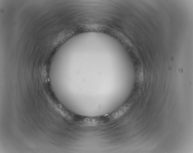 X0000080730764200701051059