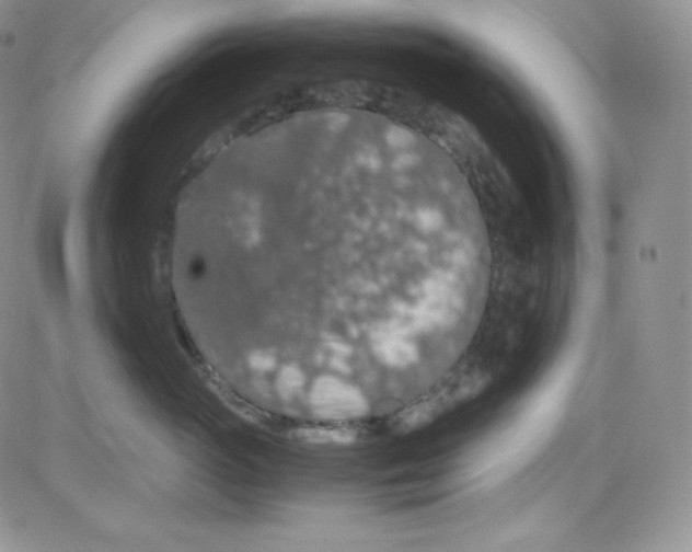 X0000080730765200701051059