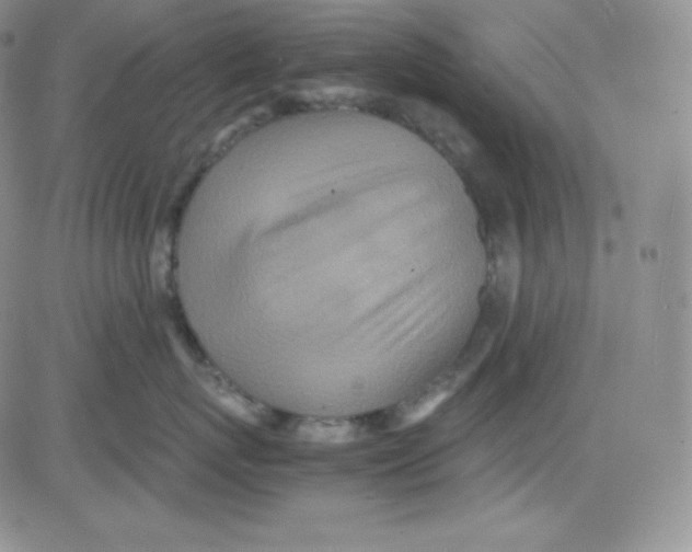 X0000080730767200701051059