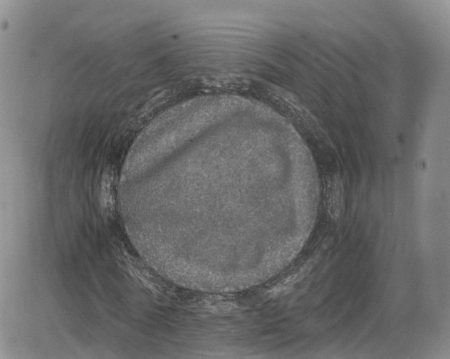 X0000080730770200701051058