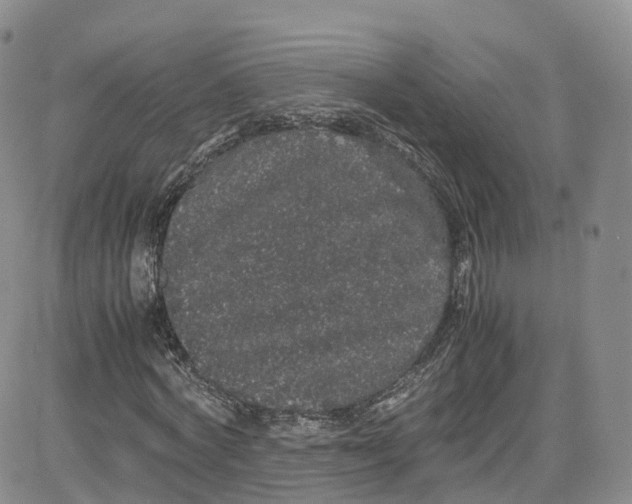 X0000080730772200701051058