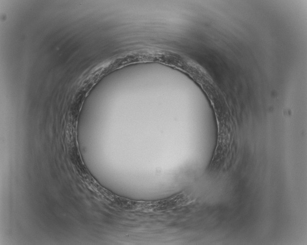 X0000080730773200701051058