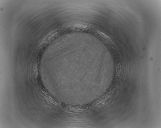 X0000080730774200701051058