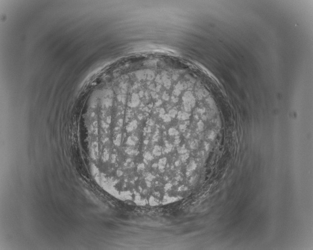 X0000080730775200701051058