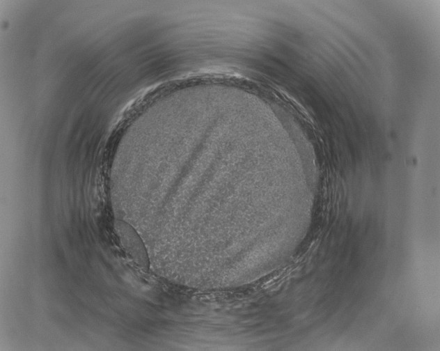 X0000080730776200701051058