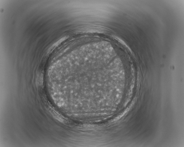 X0000080730777200701051058