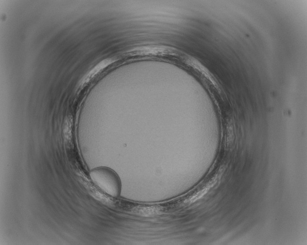 X0000080730778200701051058