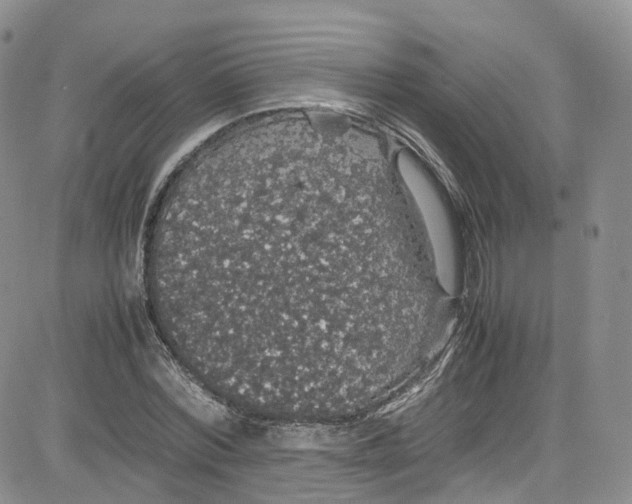 X0000080730780200701051058