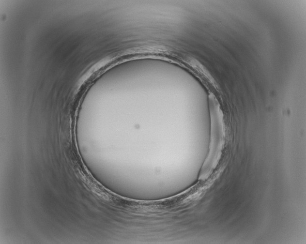 X0000080730781200701051058