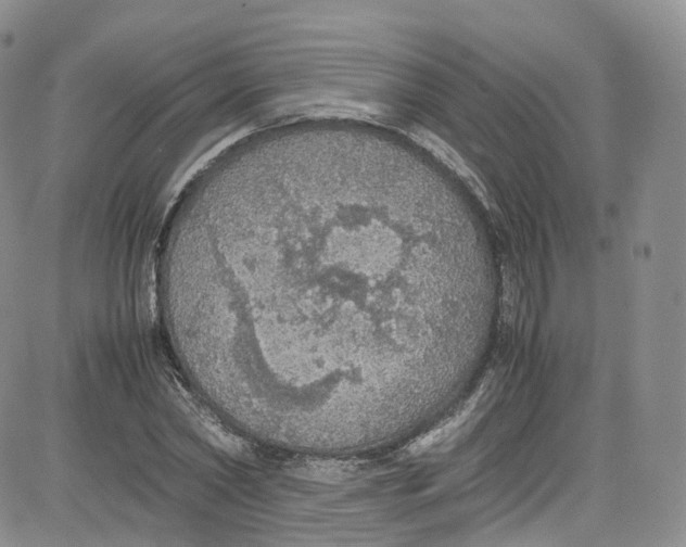 X0000080730782200701051058