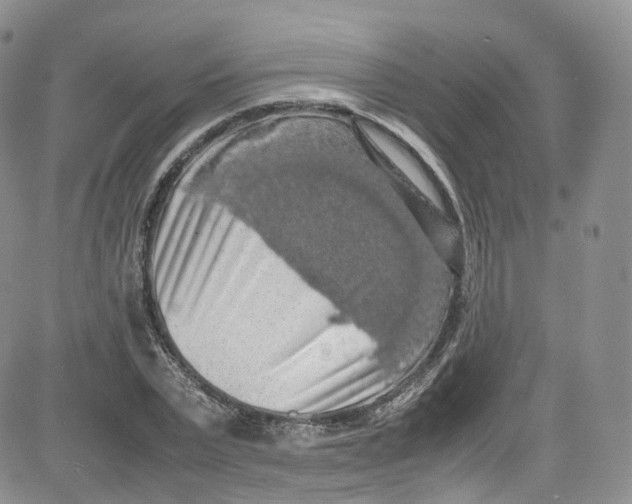 X0000080730783200701051058