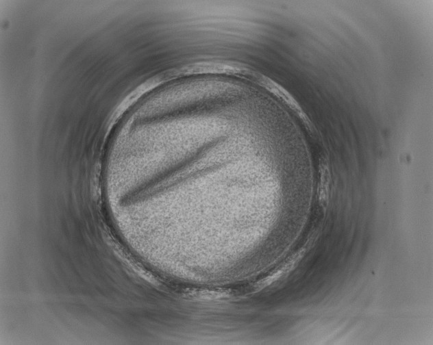 X0000080730786200701051058