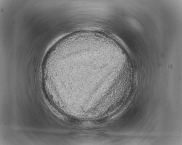 X0000080730787200701051058