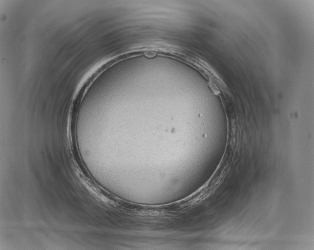 X0000080730788200701051058