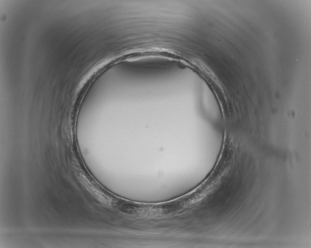 X0000080730789200701051058