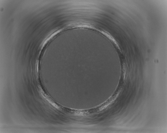 X0000080730790200701051058