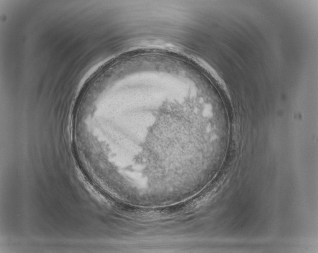 X0000080730791200701051058