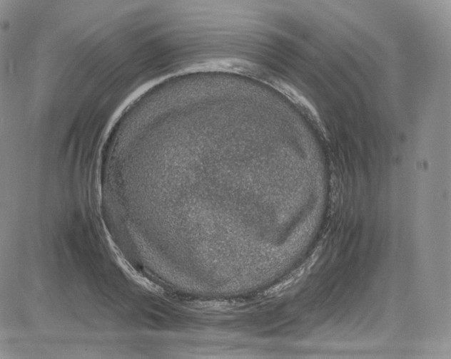 X0000080730792200701051058