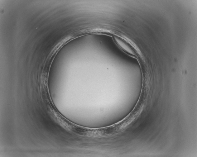 X0000080730793200701051058