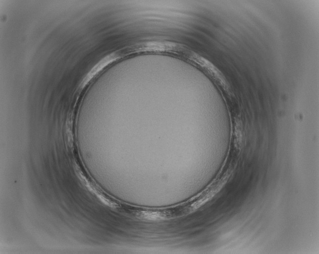 X0000080730794200701051058