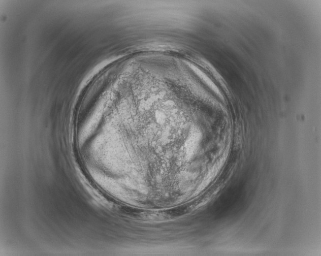 X0000080730795200701051058