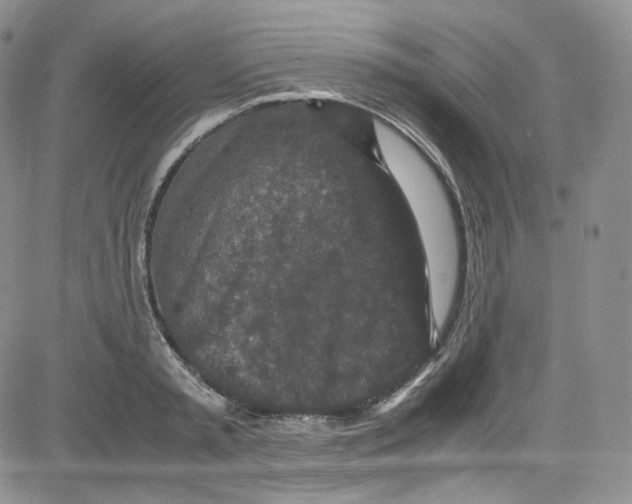 X0000080730797200701051058