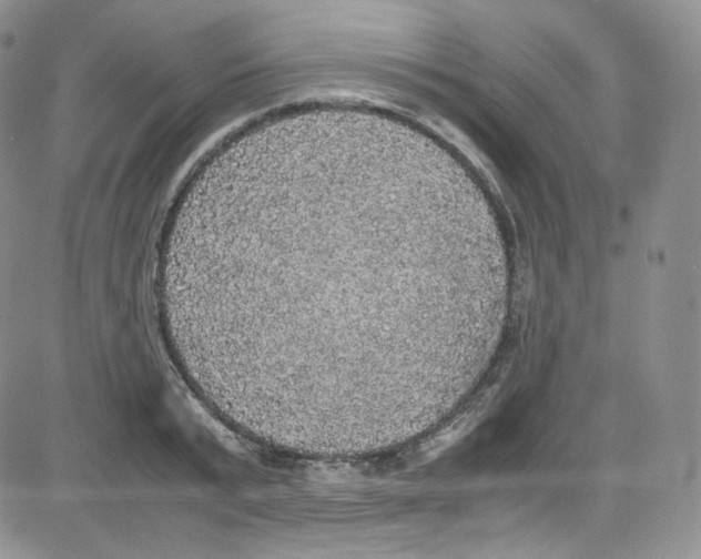 X0000080730799200701051058