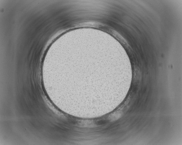 X0000080730800200701051058