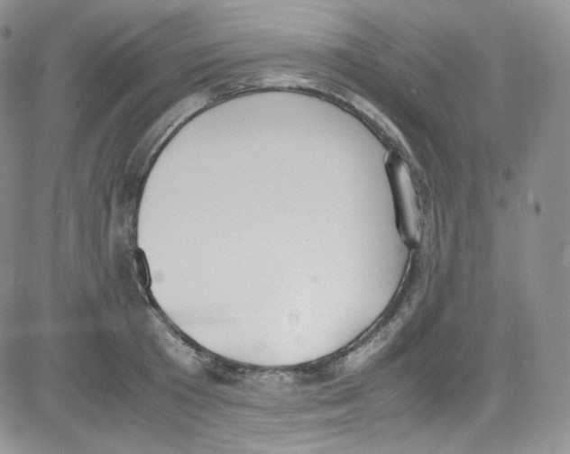 X0000080730801200701051058