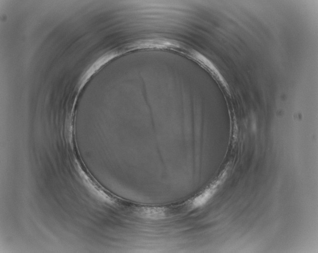 X0000080730802200701051058