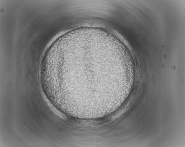 X0000080730803200701051058