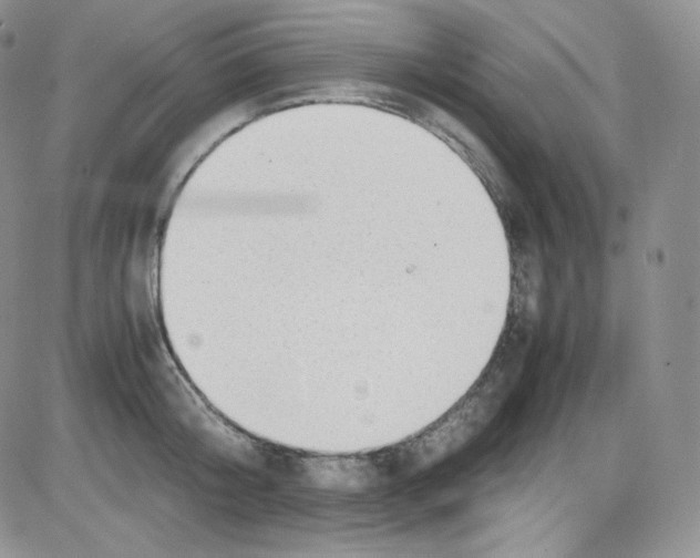 X0000080730804200701051058