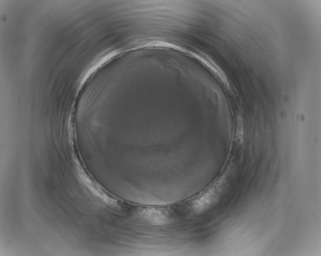 X0000080730806200701051057