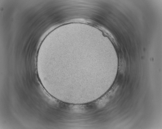 X0000080730808200701051057