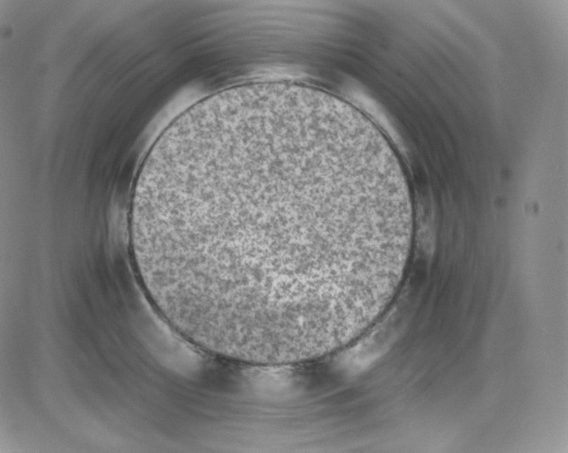 X0000080730810200701051057