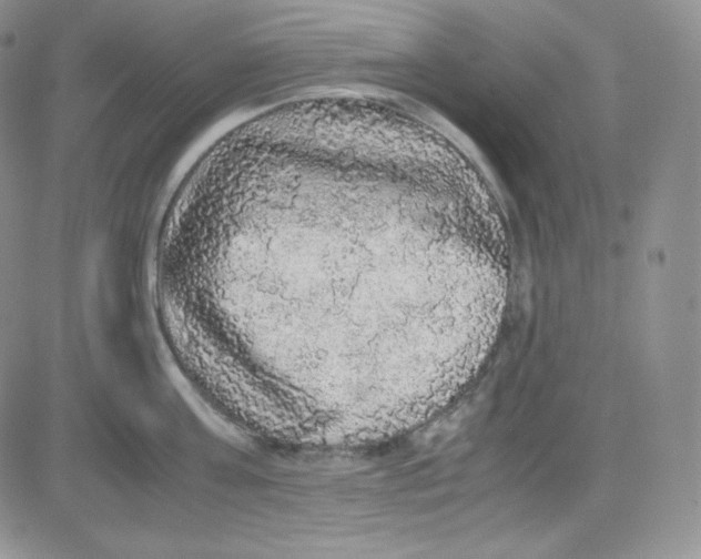 X0000080730811200701051057