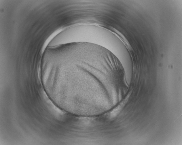 X0000080730812200701051057