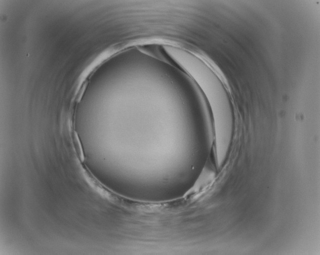 X0000080730813200701051057