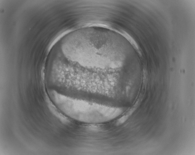 X0000080730814200701051057