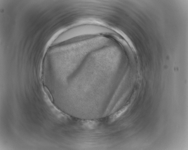 X0000080730815200701051057