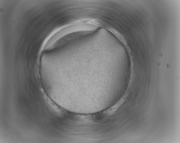 X0000080730816200701051057