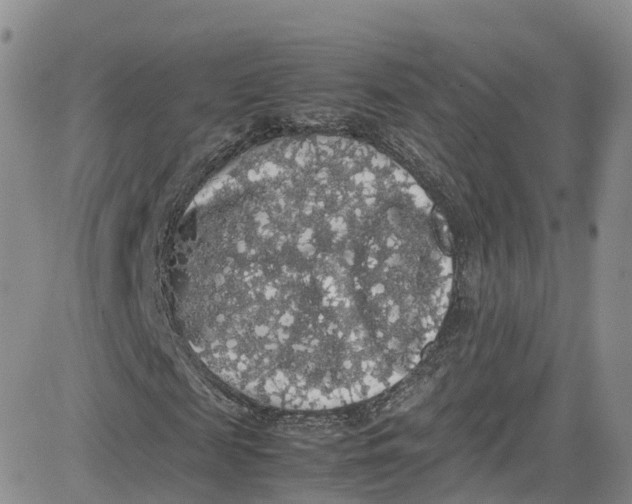 X0000080730817200701051057