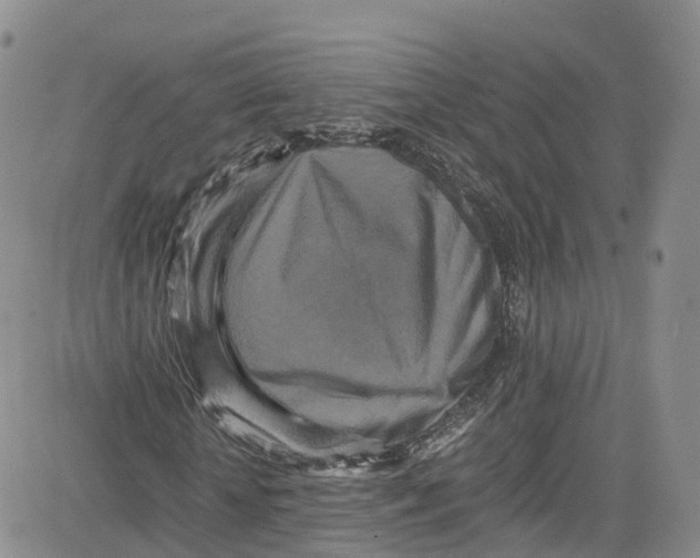 X0000080730818200701051057