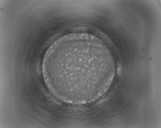 X0000080730819200701051057