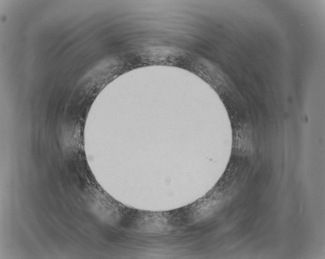 X0000080730820200701051057